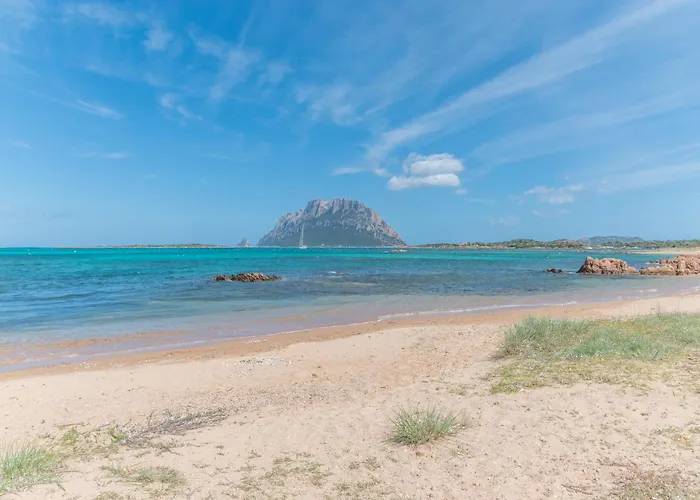 Il Vecchio Faro 66 - Happy